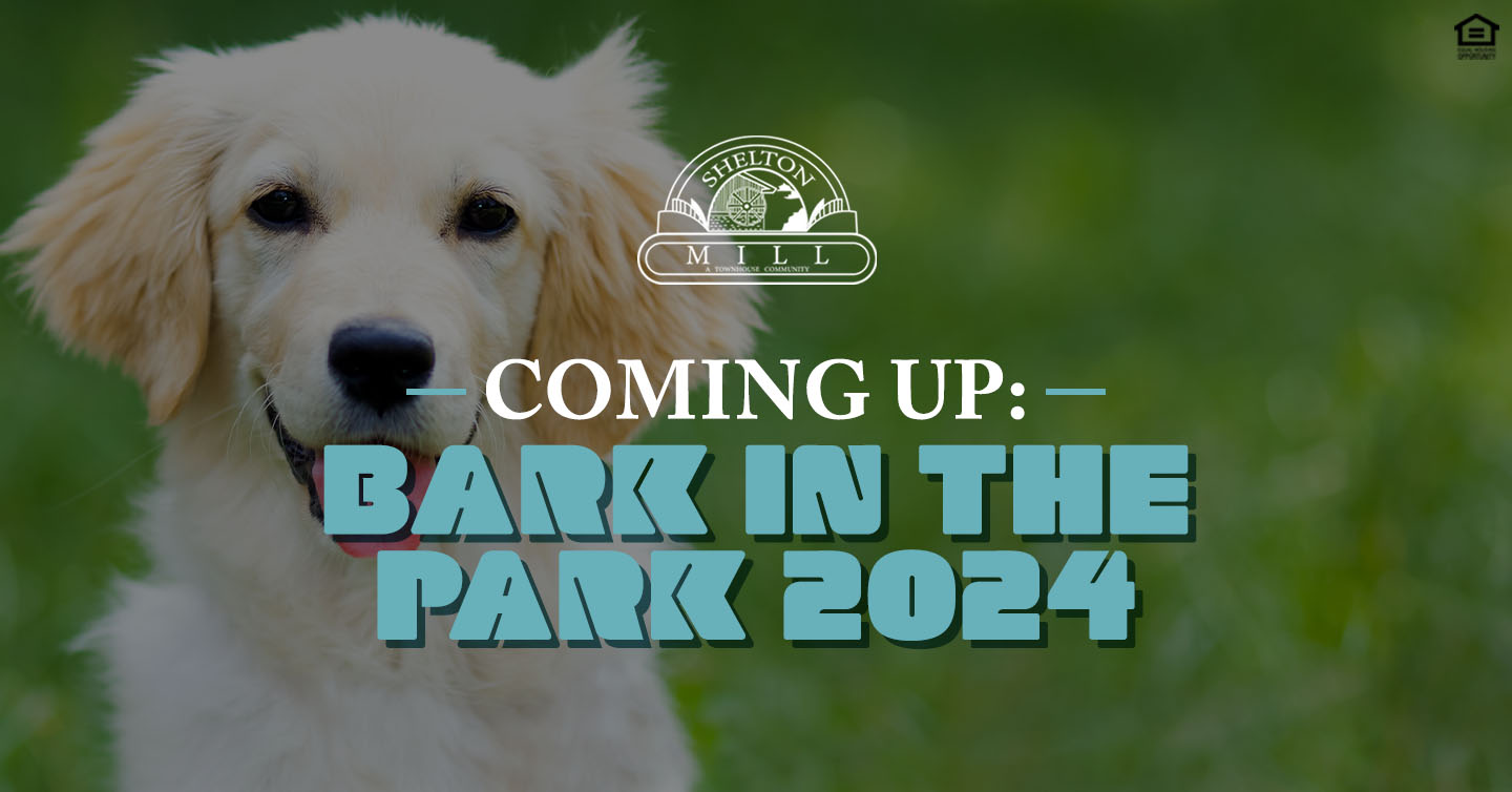 Coming Up: Bark in the Park 2024
