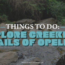 Creekline Trails of Opelika