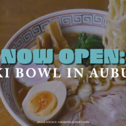 Yaki Bowl in Auburn